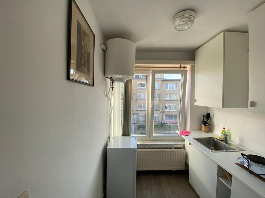 Прекрасная Студия В Г. Антверпен Antwerpen Exterior foto